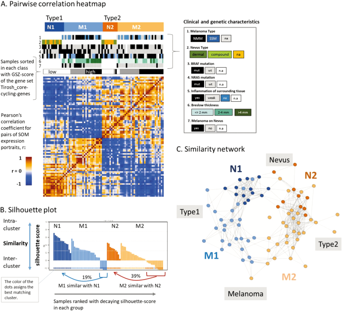 rna seq analysis identifies different transcriptomic types and rna seq analysis