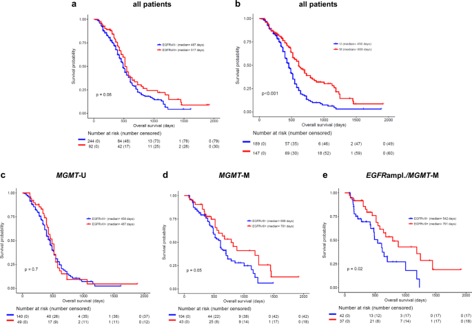 Egfrviii Upregulates Dna Mismatch Repair Resulting In Increased Temozolomide Sensitivity Of Mgmt Promoter Methylated Glioblastoma Oncogene