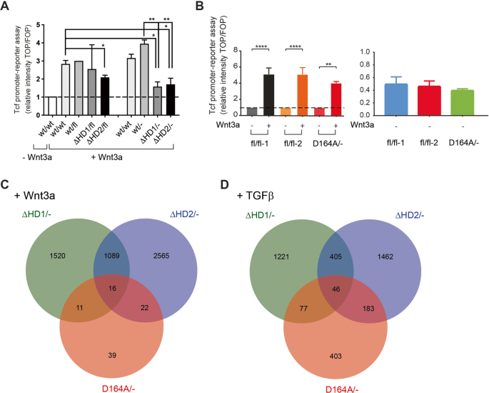 Bcl9 and Pygo synergise downstream of Apc to effect intestinal neoplasia in  FAP mouse models