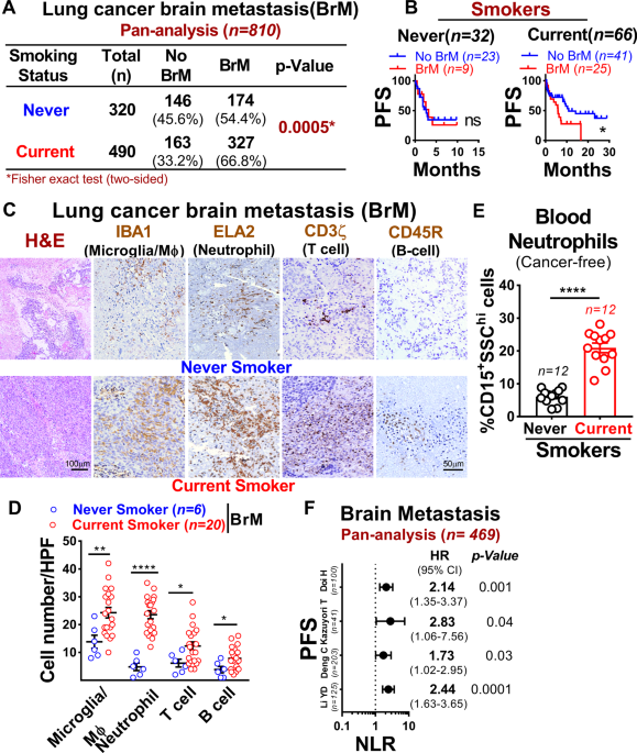 Blocking immunosuppressive neutrophils deters pY696-EZH2–driven brain  metastases