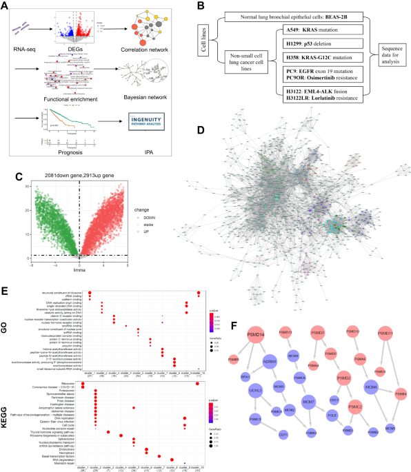 interactive gene network visualization with color-coded nodes showing oncology target relationships