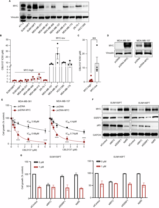 bpc-157 safety evidence human studies bpc-157 human trials safety Columbia Undergraduate Science Journal