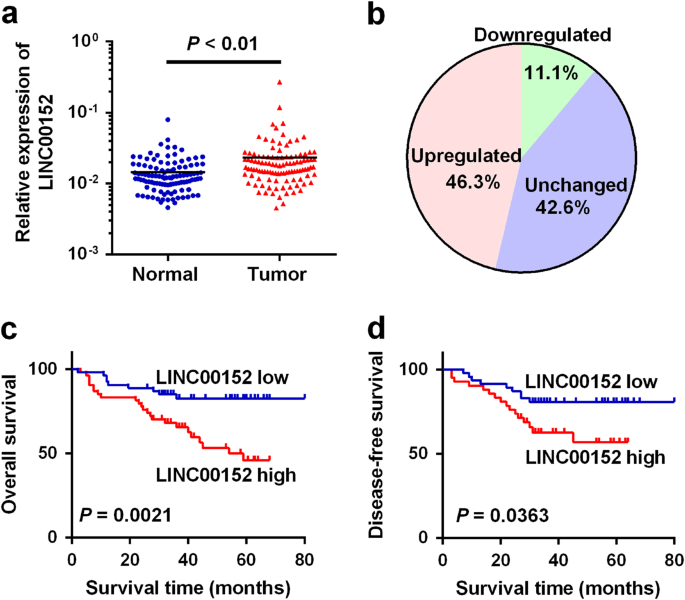 Long Non Coding Rna Linc Promotes Cell Proliferation Metastasis And Confers 5 Fu Resistance In Colorectal Cancer By Inhibiting Mir 139 5p Oncogenesis