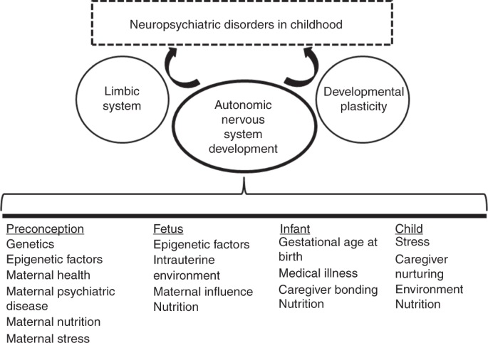 Autonomic Nervous System Development And Its Impact On Neuropsychiatric Outcome Pediatric Research