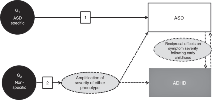 Tracing Autisms Trajectories Could Help >> Early Behavioral Indices Of Inherited Liability To Autism Tracing Autisms Trajectories Could Help >> Early Behavioral Indices Of Inherited Liability To Autism