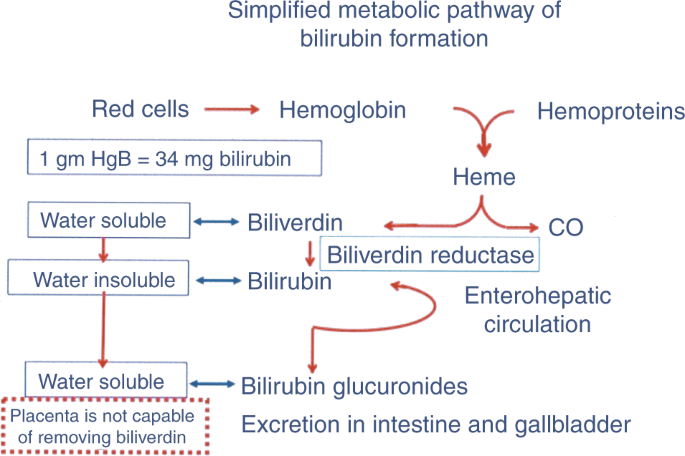 Hemoglobin hipertónia, Laboreredmények - Hemoglobin (HGB)