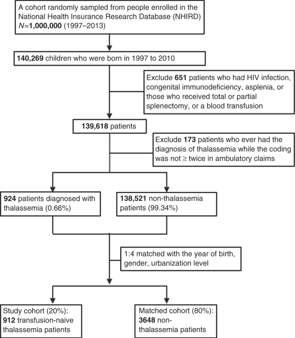 Increased Non Typhoidal Salmonella Hospitalizations In Transfusion Naive Thalassemia Children A Nationwide Population Based Cohort Study Pediatric Research