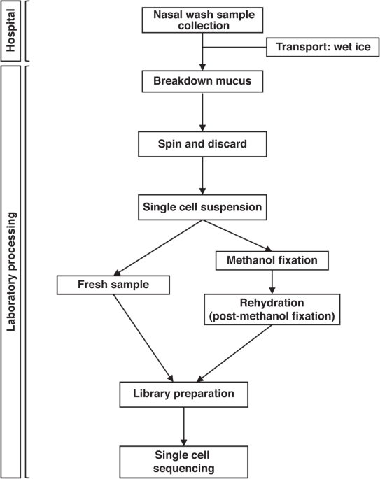 Enabling methanol fixation of pediatric nasal wash during respiratory illness for single cell sequencing in comparison with fresh samples