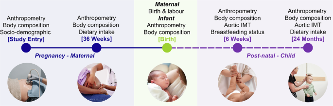 Maternal and child predictors of vascular health in infancy and early childhood