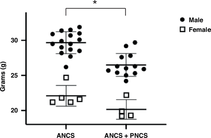 Long-term multi-organ system abnormalities in mice exposed to antenatal and postnatal corticosteroids