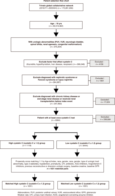 Prognostic value of cystatin C for chronic kidney disease in pediatric urologic malformations