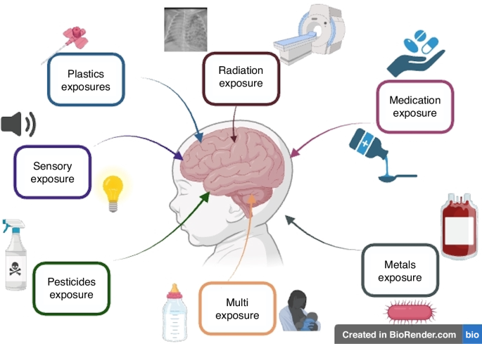 Environmental exposures in the neonatal intensive care unit impacting neurodevelopmental outcomes for neonates | Pediatric Research Environmental exposures in the neonatal intensive care unit impacting neurodevelopmental outcomes for neonates | Pediatric Research