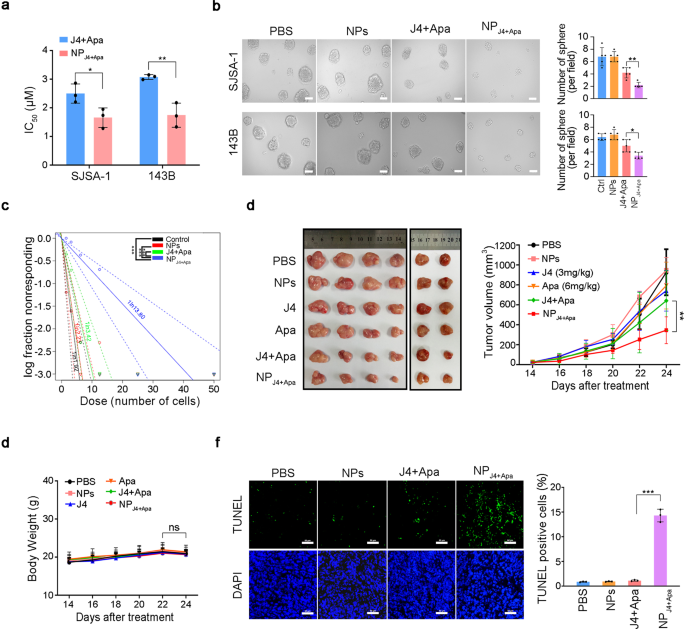 Nanoparticle enhanced combination therapy for stem-like progenitors defined  by single-cell transcriptomics in chemotherapy-resistant osteosarcoma |  Signal Transduction and Targeted Therapy