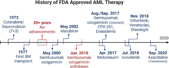 Targeting multiple signaling pathways: the new approach to acute myeloid  leukemia therapy | Signal Transduction and Targeted Therapy