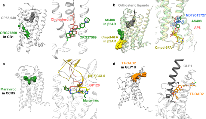 Illuminating the Path to Target GPCR Structures and Functions