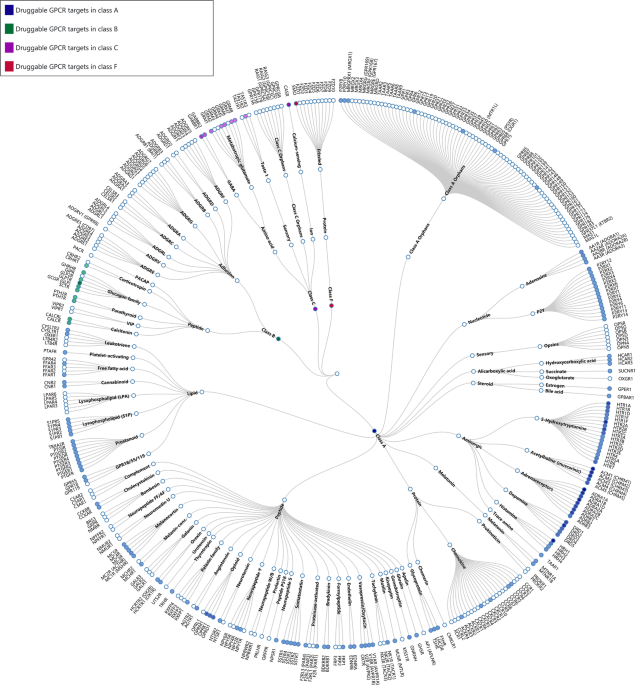 G Protein Coupled Receptors Structure And Function Based Drug Discovery Signal Transduction And Targeted Therapy