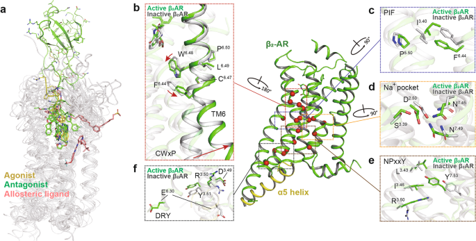 Illuminating the Path to Target GPCR Structures and Functions