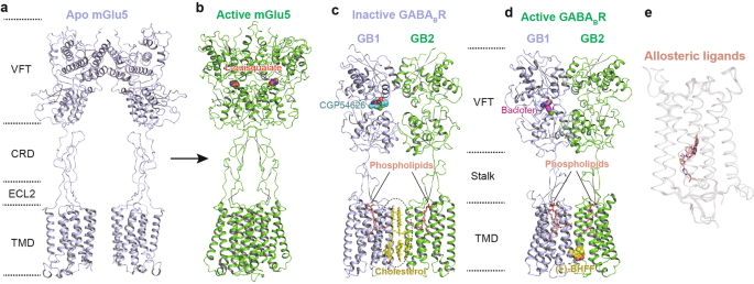 Illuminating the Path to Target GPCR Structures and Functions