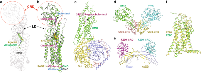 Illuminating the Path to Target GPCR Structures and Functions