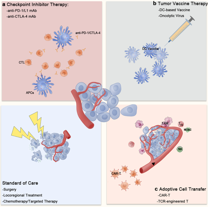 Targeting tumor-associated macrophages to synergize tumor immunotherapy |  Signal Transduction and Targeted Therapy