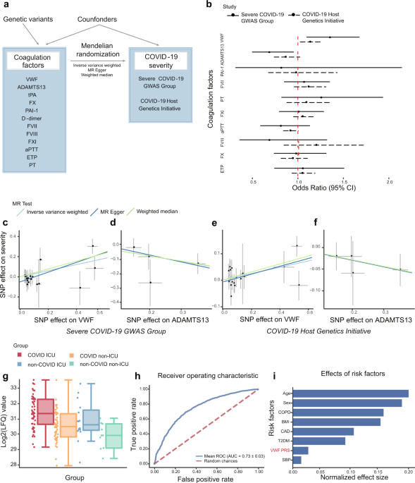 Coagulation factors and the in...