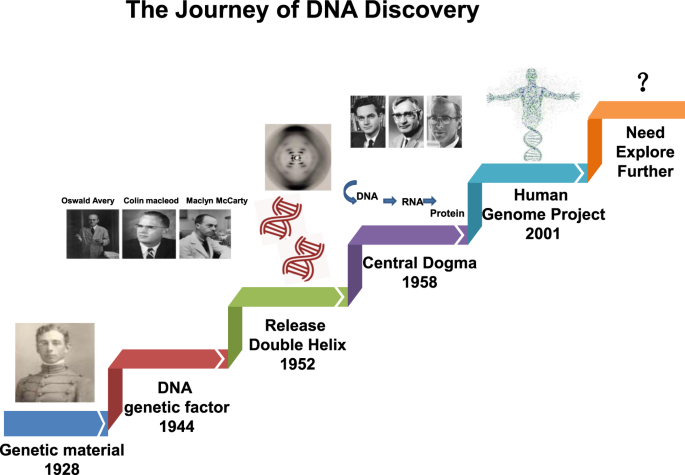 DNA damage repair: historical perspectives, mechanistic pathways 