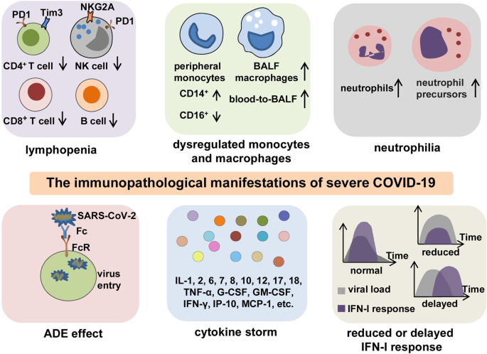 Experience With the Use of Baricitinib and Tocilizumab Monotherapy or  Combined, in Patients With Interstitial Pneumonia Secondary to Coronavirus  COVID19: A Real-World Study