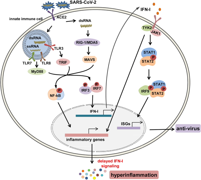 Experience With the Use of Baricitinib and Tocilizumab Monotherapy or  Combined, in Patients With Interstitial Pneumonia Secondary to Coronavirus  COVID19: A Real-World Study