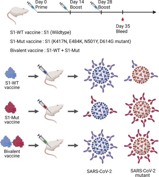 A bivalent recombinant vaccine...