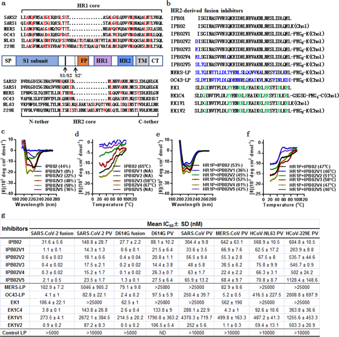 SARS-CoV-2-derived fusion inhi...