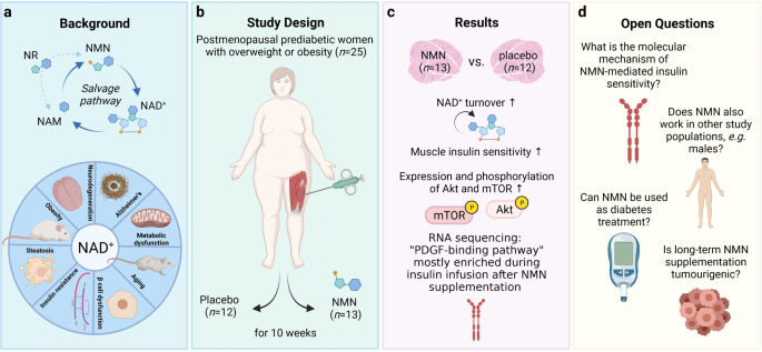 Nicotinamide mononucleotide: a potential effective natural compound against  insulin resistance | Signal Transduction and Targeted Therapy