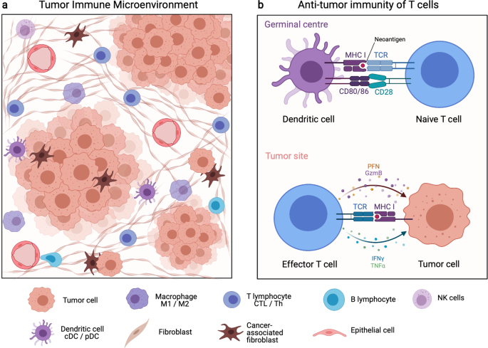 Cellular heterogeneity and immune microenvironment revealed by