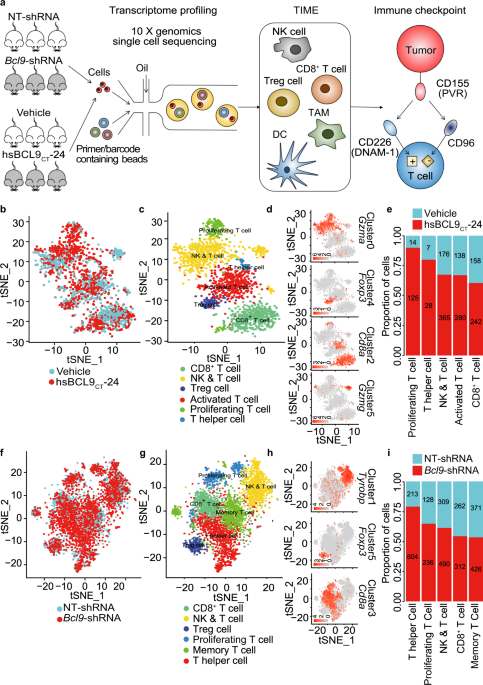 Bcl9 and Pygo synergise downstream of Apc to effect intestinal neoplasia in  FAP mouse models