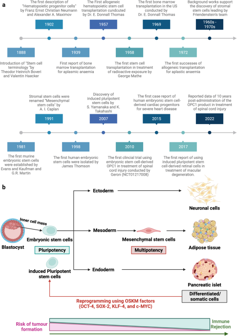 National Cancer Institute - What are bone marrow transplantation and  peripheral blood stem cell transplantation? These procedures restore stem  cells that have been destroyed by high doses of chemotherapy and/or  radiation therapy