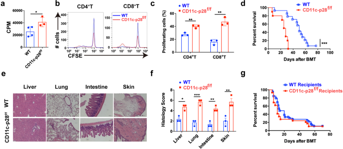 Dendritic cell-derived IL-27 p28 regulates T cell program in pathogenicity and alleviates acute graft-versus-host disease