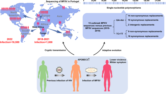 Monkeypox Virus Infection in Humans across 16 Countries — April–June 2022