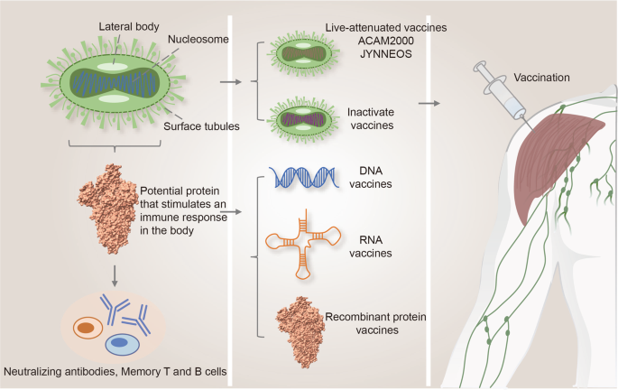 Novel severe oculocutaneous manifestations of human monkeypox virus  infection and their historical analogues - The Lancet Infectious Diseases