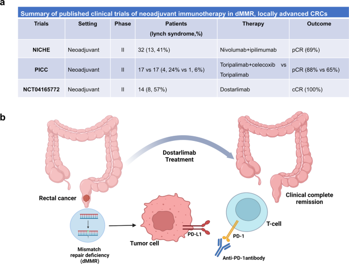 Neoadjuvant PD-1 blockade: a promising nonoperative strategy for mismatch  repair–deficient, locally advanced rectal cancer | Signal Transduction and  Targeted Therapy