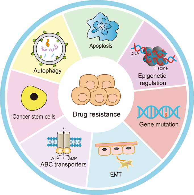 Targeting epigenetic regulators to overcome drug resistance in cancers |  Signal Transduction and Targeted Therapy