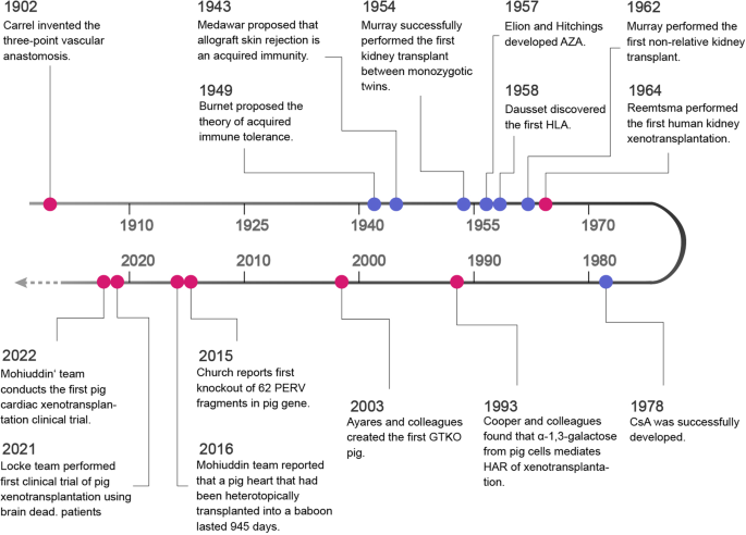 Activation of immune signals during organ transplantation | Signal 