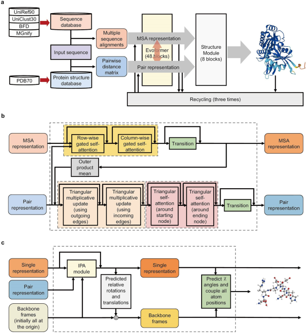 The structures of the MSA block, post-activation and pre-activation.