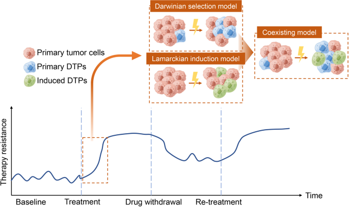 Study reveals insights into how cancer cells evade treatment