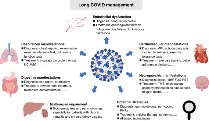 Gut microbiota‐derived synbiotic formula (SIM01) as a novel