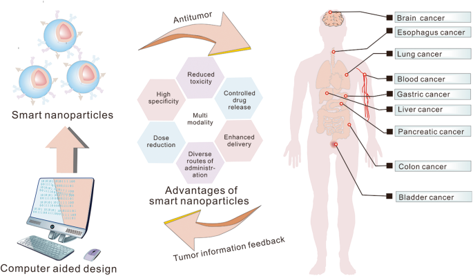 Smart nanoparticles for cancer therapy  Signal Transduction and Targeted  Therapy