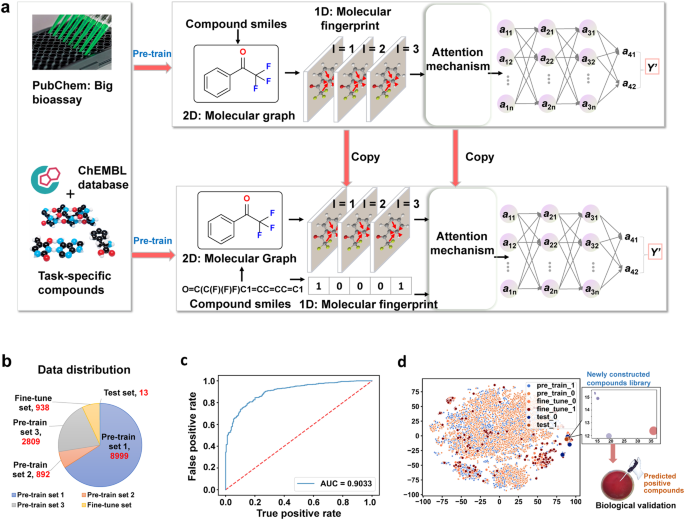 A deep learningdriven discovery of berberine derivatives as novel