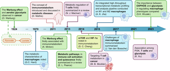 Metabolic regulation of the immune system in health and diseases: mechanisms and interventions Metabolic regulation of the immune system in health and diseases: mechanisms and interventions