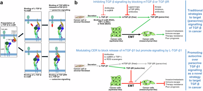 Dynamic allostery: a novel mechanism regulating autocrine and paracrine ...