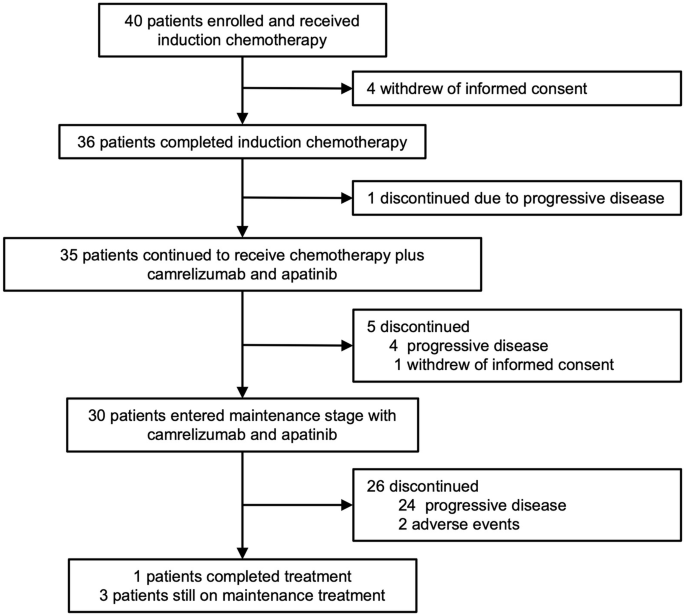 Induction chemotherapy followed by camrelizumab plus apatinib and chemotherapy as first-line treatment for extensive-stage small-cell lung cancer: a multicenter, single-arm trial