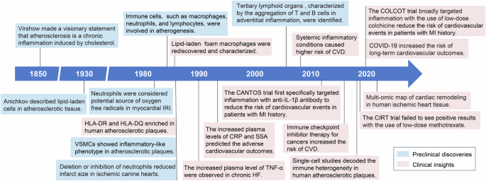 The immune system in cardiovascular diseases: from basic mechanisms to therapeutic implications