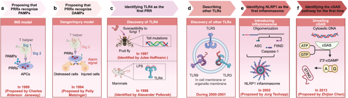 amn adrenomyeloneuropathy glutathione Revisiting the Pathogenesis of X-Linked Adrenoleukodystrophy